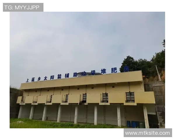 重庆乒乓球队运营模式解析与发展前景探讨