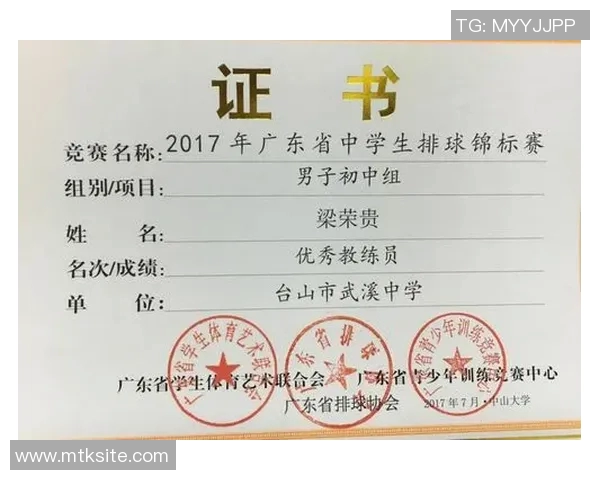 深圳排球队在锦标赛中的个人能力分析与表现评估
